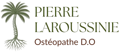 Logo Pierre Laroussinie ostéopathe Marrakech fond transparent (413 x 180 px)